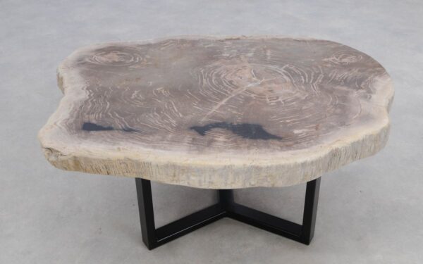 Coffee table petrified wood 50172