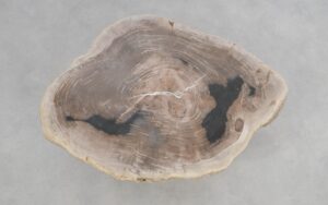 Coffee table petrified wood 50176