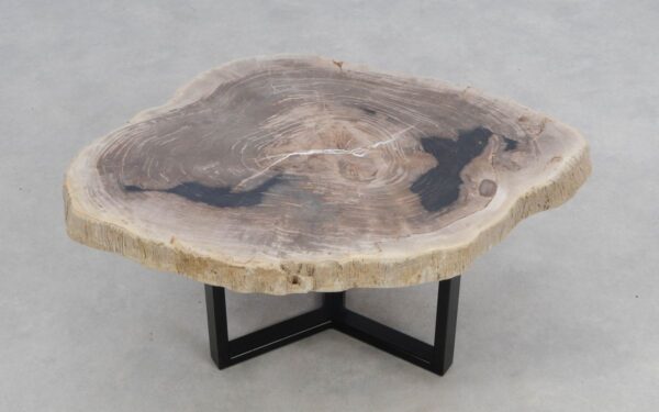 Coffee table petrified wood 50176