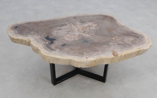 Coffee table petrified wood 50177