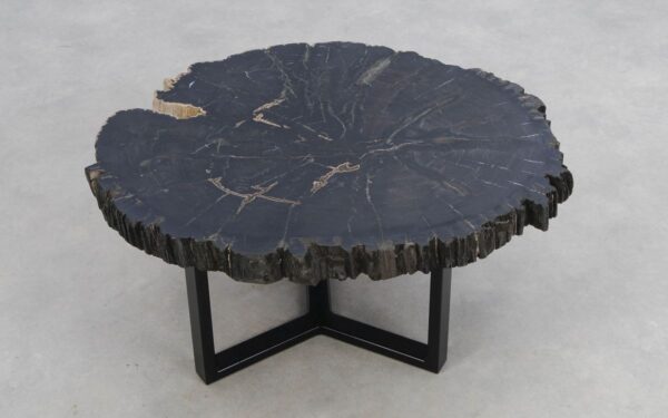 Coffee table petrified wood 50181