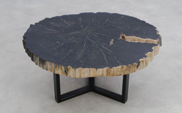 Coffee table petrified wood 50182