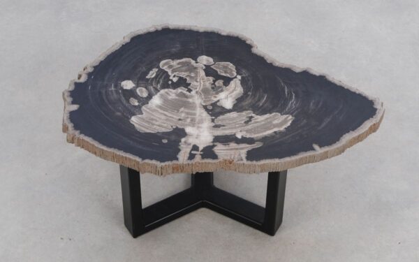 Coffee table petrified wood 50304