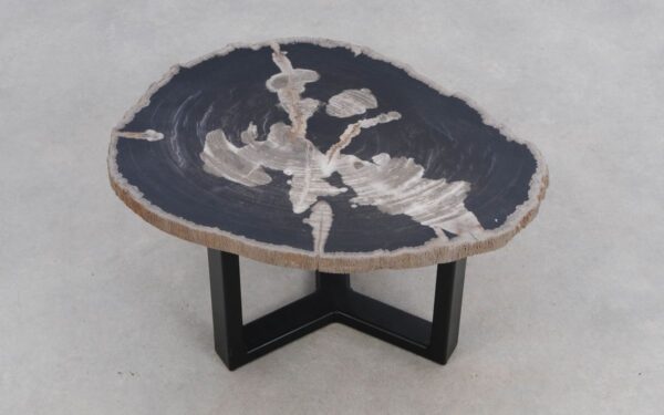 Coffee table petrified wood 50305