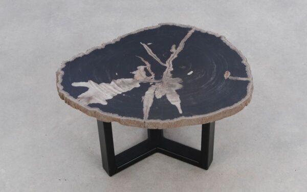 Coffee table petrified wood 50306