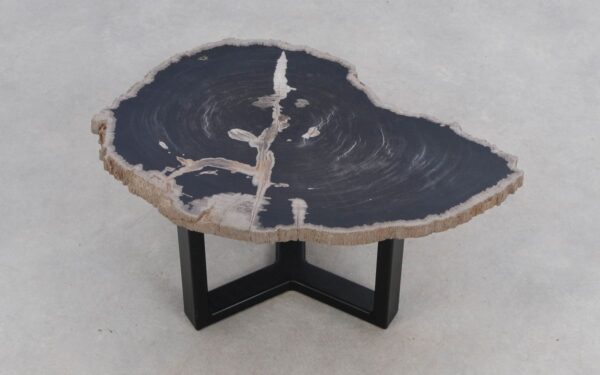 Coffee table petrified wood 50307
