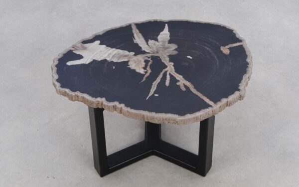 Coffee table petrified wood 50309