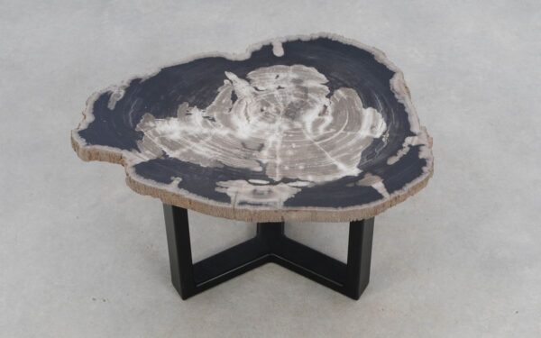 Coffee table petrified wood 50310