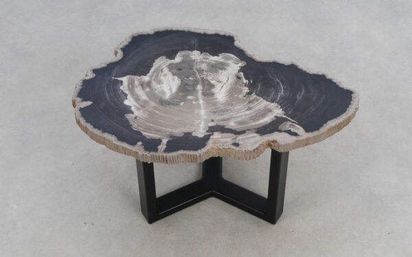 Coffee table petrified wood 50311
