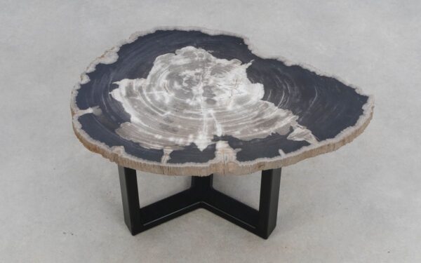 Coffee table petrified wood 50312