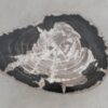 Coffee table petrified wood 50313
