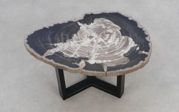 Coffee table petrified wood 50313