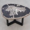 Coffee table petrified wood 50314