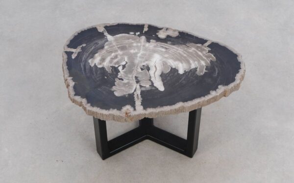 Coffee table petrified wood 50314