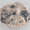 Coffee table petrified wood 46210