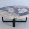 Couchtisch versteinertes Holz 44153