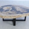 Couchtisch versteinertes Holz 44153