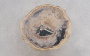 Couchtisch versteinertes Holz 49346a