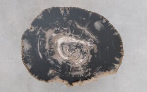 Couchtisch versteinertes Holz 49353e