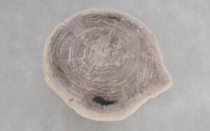 Couchtisch versteinertes Holz 50159