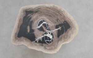 Couchtisch versteinertes Holz 50169