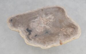 Couchtisch versteinertes Holz 50177