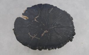 Couchtisch versteinertes Holz 50181