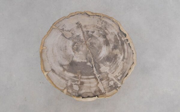 Couchtisch versteinertes Holz 50188