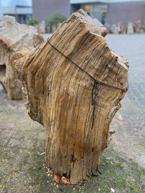 Grabstein versteinertes Holz 50078