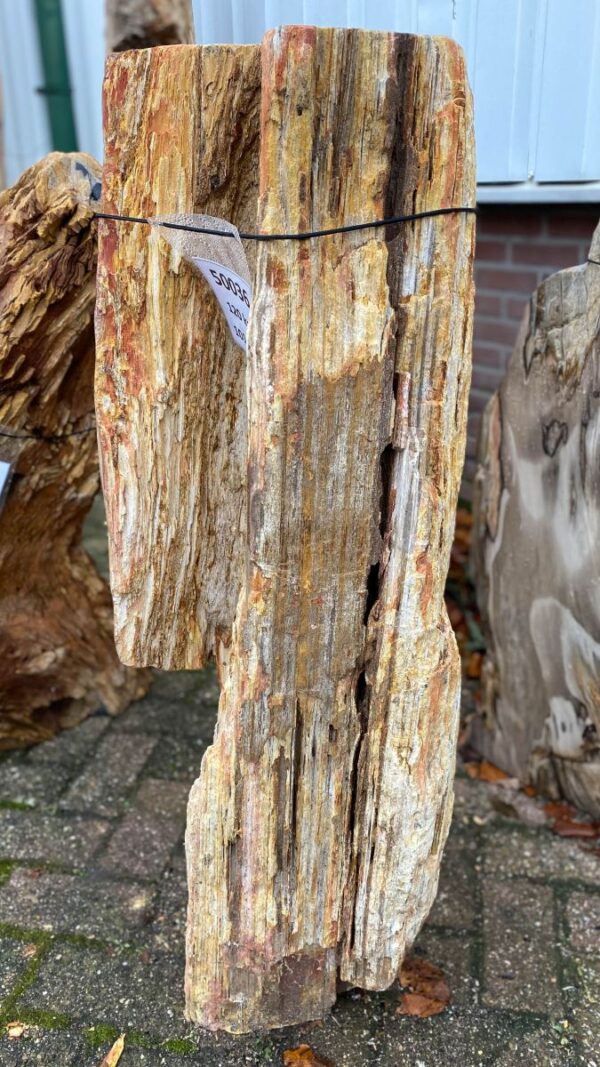 Lápida madera petrificada 50036