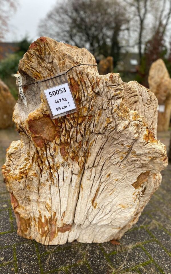 Lápida madera petrificada 50053