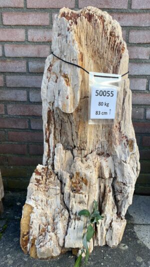 Lápida madera petrificada 50055