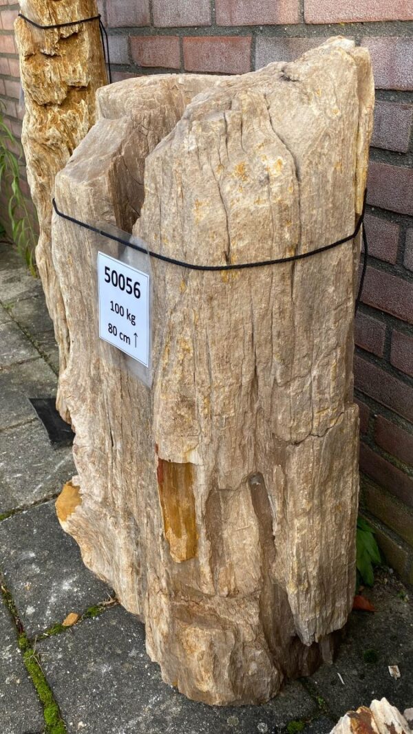 Lápida madera petrificada 50056