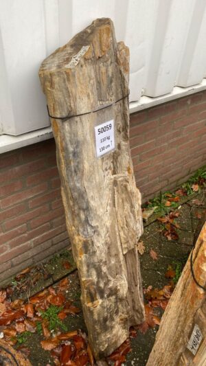 Lápida madera petrificada 50059