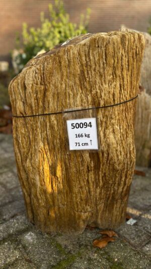Lápida madera petrificada 50094