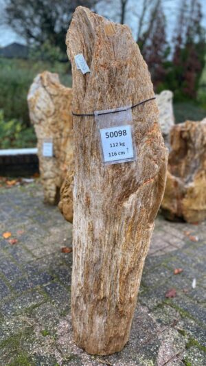 Lápida madera petrificada 50098