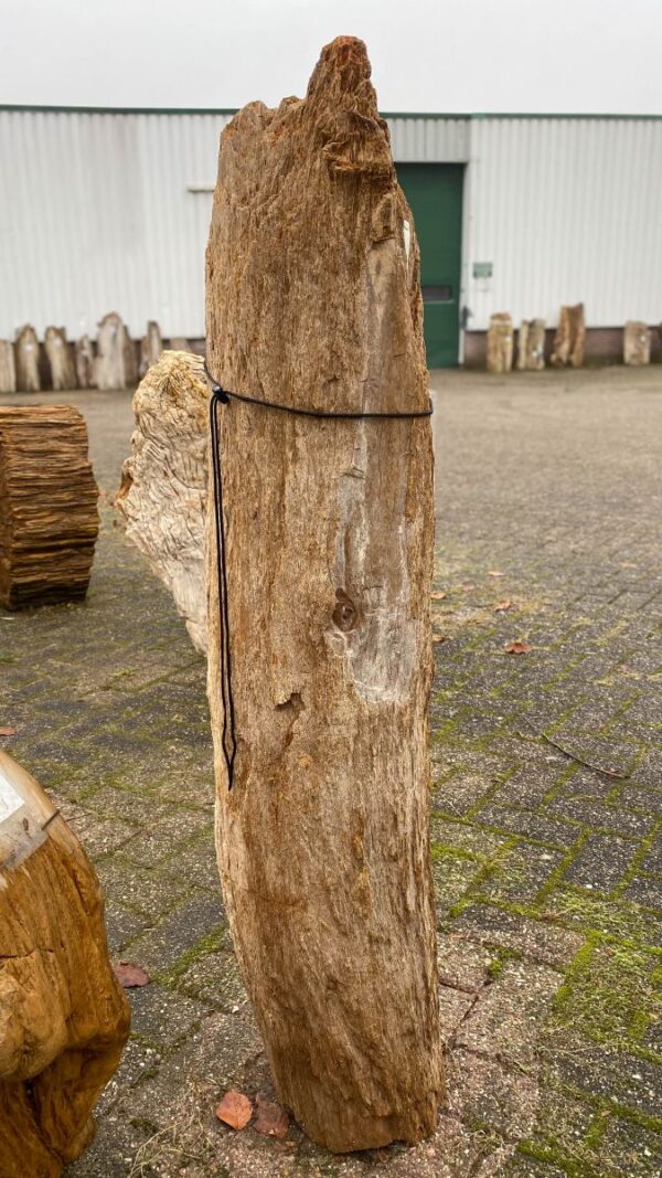 Lápida madera petrificada 50098