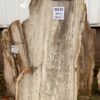 Lápida madera petrificada 50133