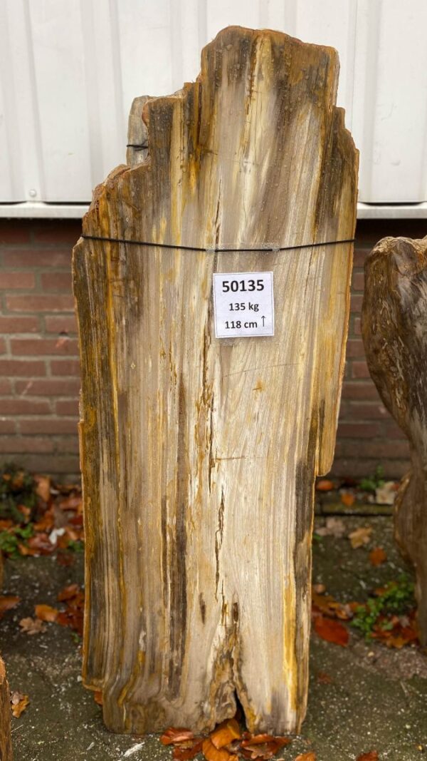 Lápida madera petrificada 50135