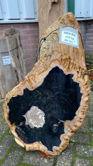 Lápida madera petrificada 50139