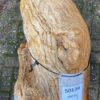 Lápida madera petrificada 50139