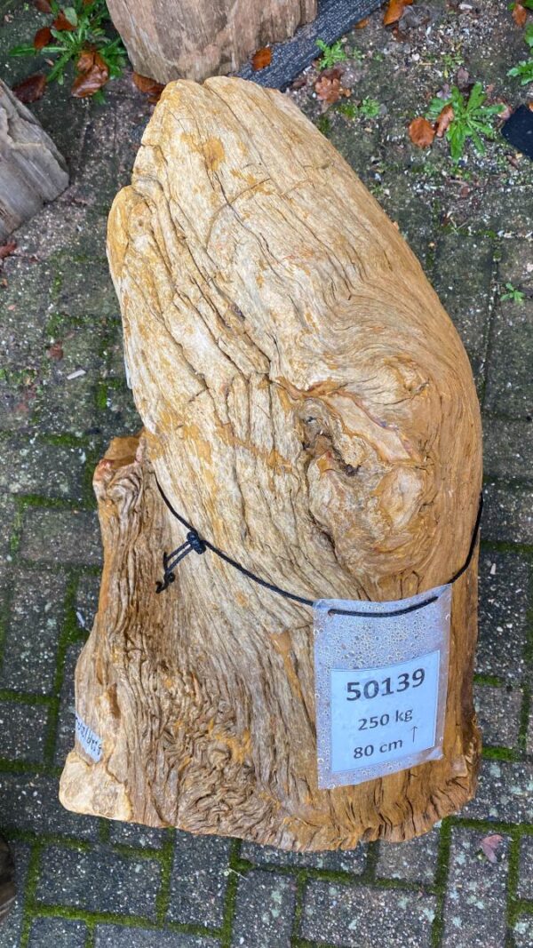 Lápida madera petrificada 50139
