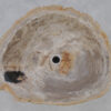 Lavabo bois pétrifié 37343