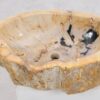 Lavabo bois pétrifié 50207