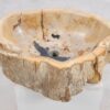 Lavabo bois pétrifié 50208