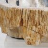 Lavabo madera petrificada 50241