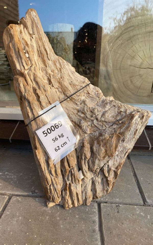 Memorial stone petrified wood 50069