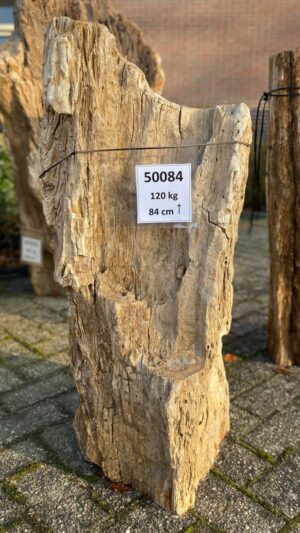 Memorial stone petrified wood 50084