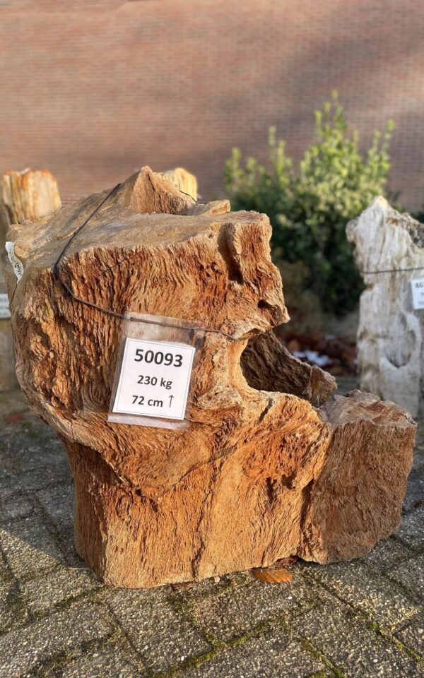 Memorial stone petrified wood 50093