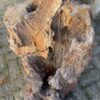 Memorial stone petrified wood 50093